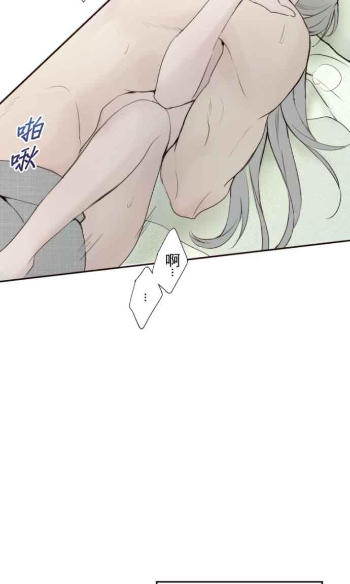 66.jpg