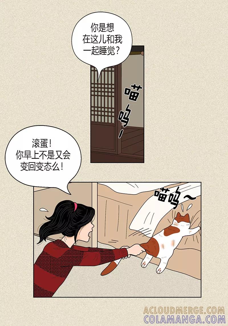 第30话粘人的猫-猫王子-蓝文文化（第5张）
