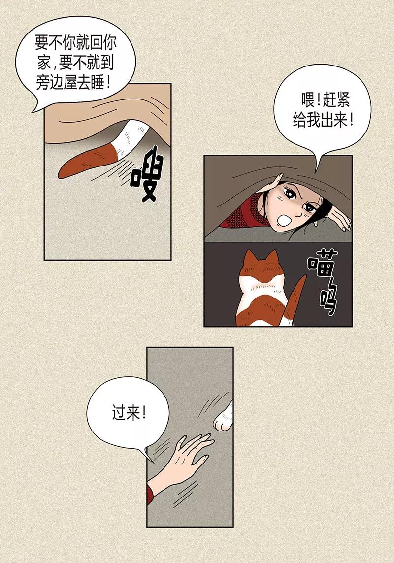 第30话粘人的猫-猫王子-蓝文文化（第6张）