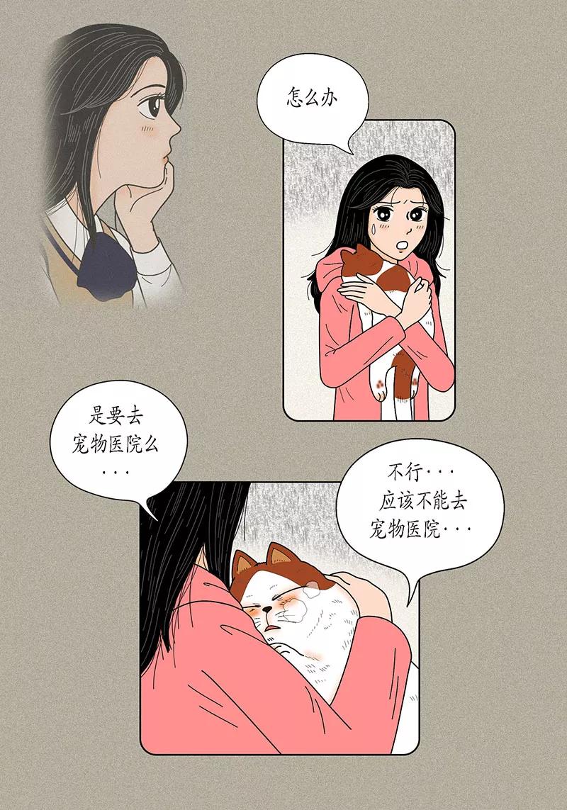 第31话我们还是做朋友吧-猫王子-蓝文文化（第6张）