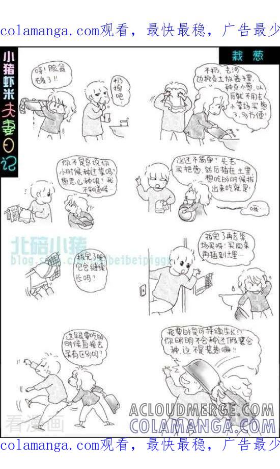 第89话栽葱-七年不痒——小猪虾米夫妻日记（第三季）-北碚小猪（第1张）