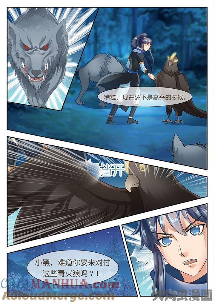 5.jpg