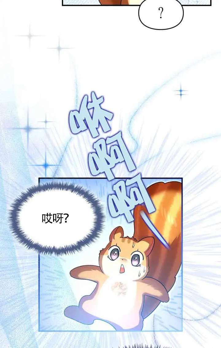 69.jpg