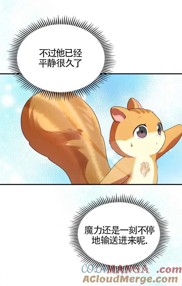61.jpg