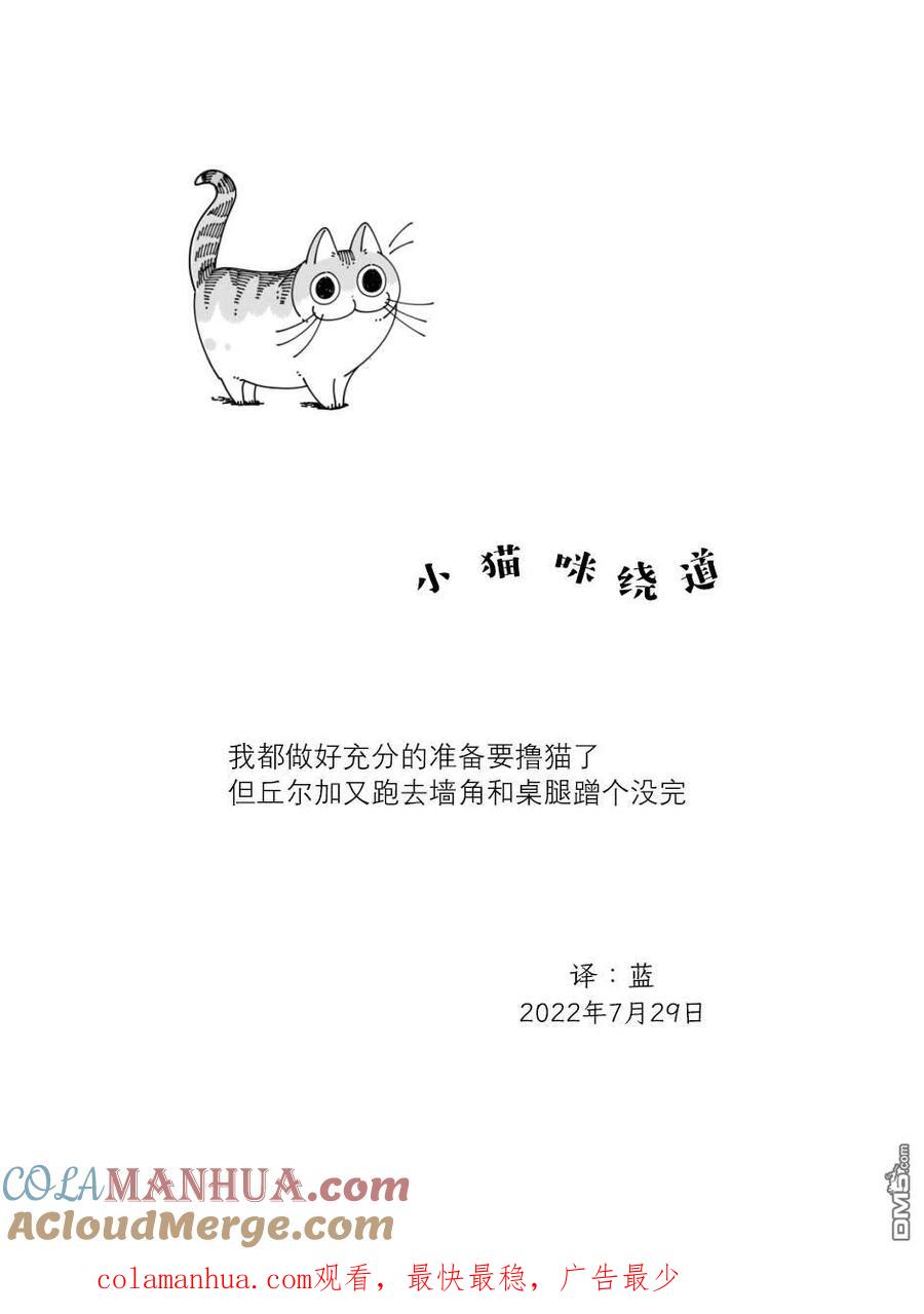 第126话-关于养猫我一直是新手-キュルZ（第3张）