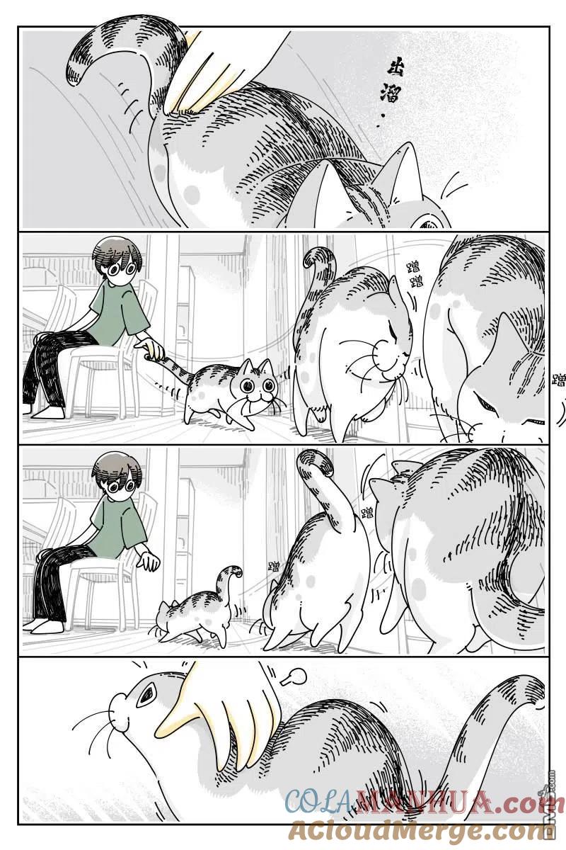 第126话-关于养猫我一直是新手-キュルZ（第1张）