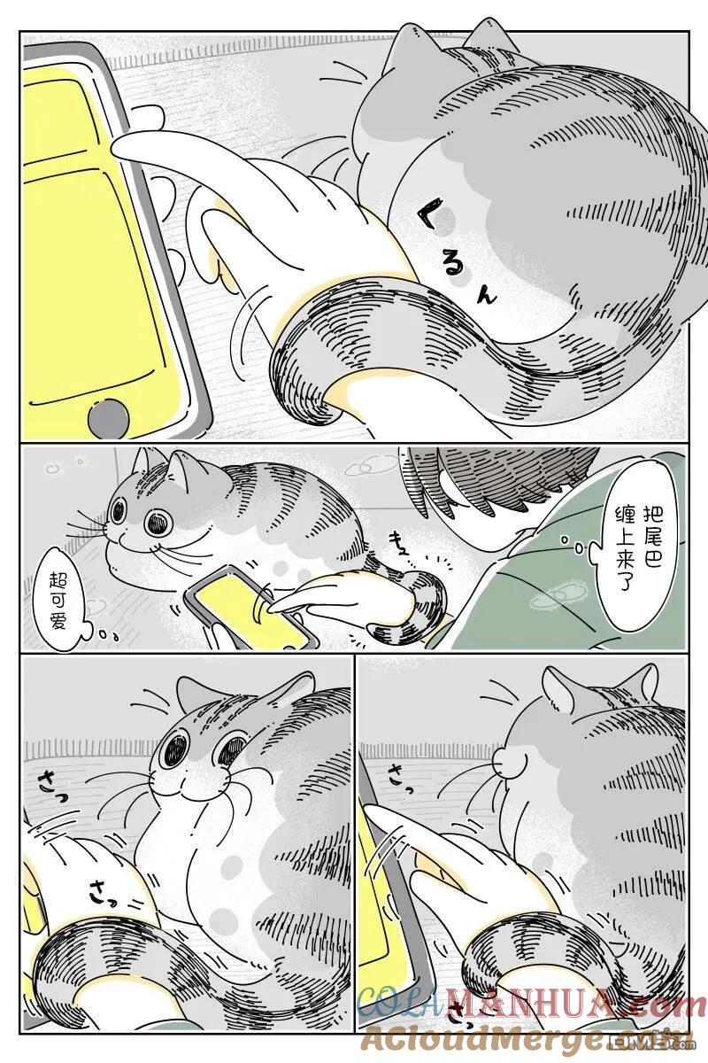 第148话-关于养猫我一直是新手-キュルZ（第1张）