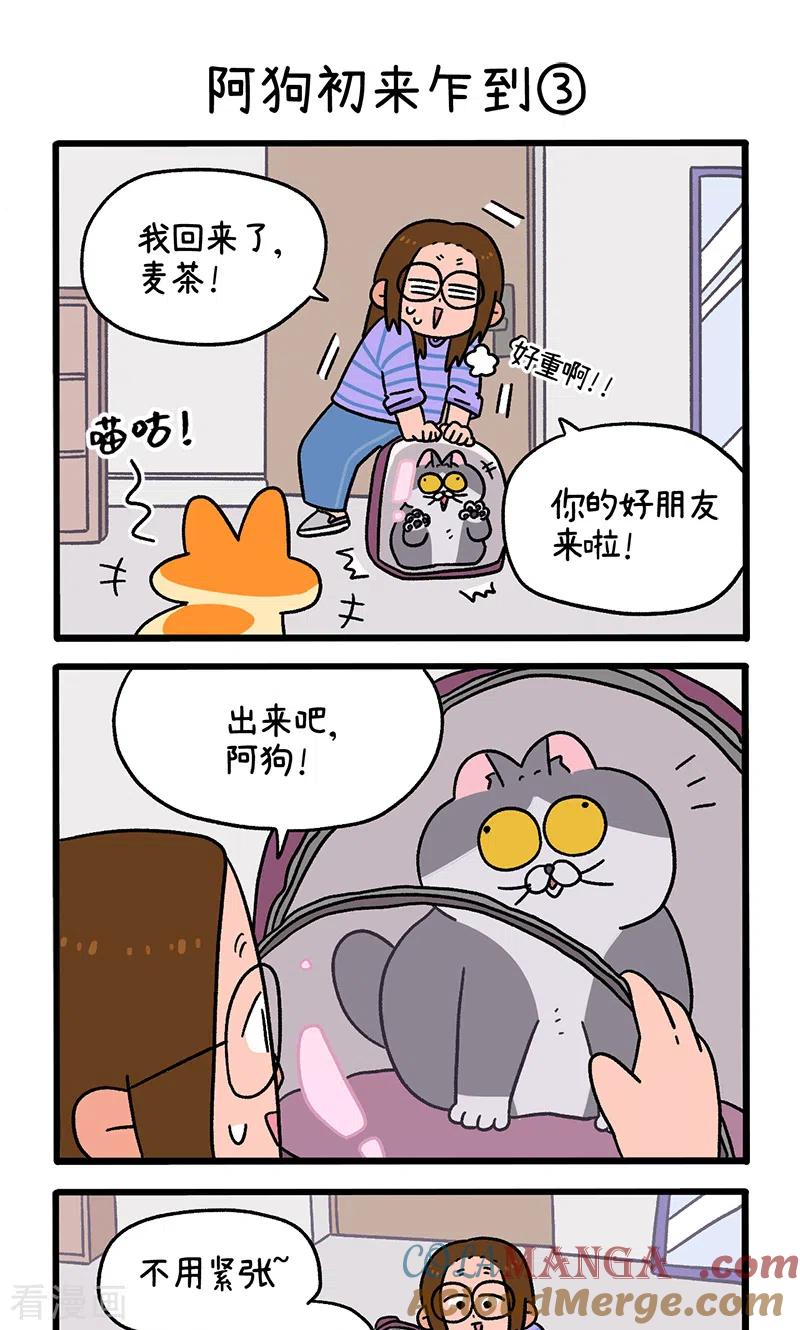第89话1阿狗初来乍到-阿满和麦茶-新漫画 日胖大海寺（第5张）