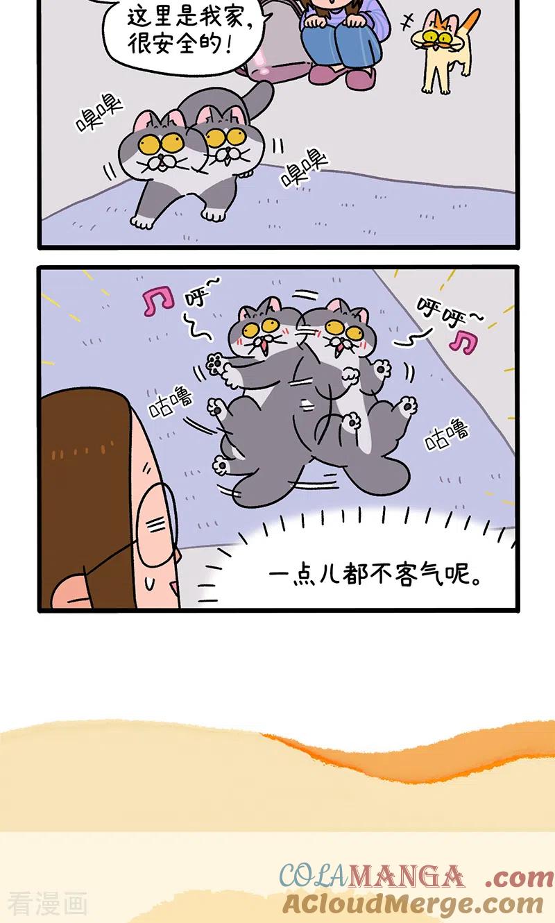 第89话1阿狗初来乍到-阿满和麦茶-新漫画 日胖大海寺（第6张）