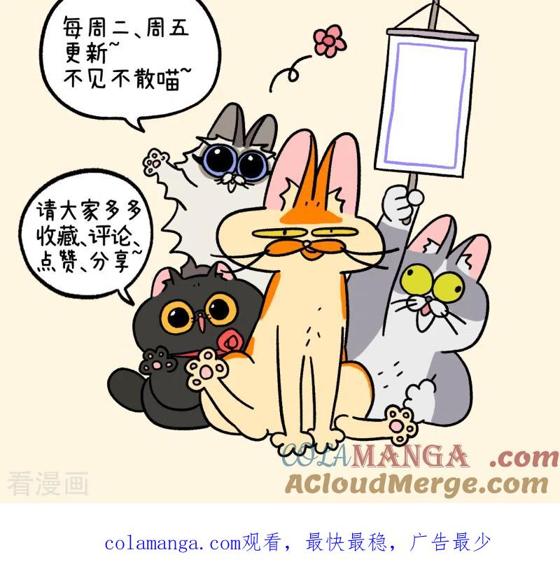 第89话1阿狗初来乍到-阿满和麦茶-新漫画 日胖大海寺（第8张）