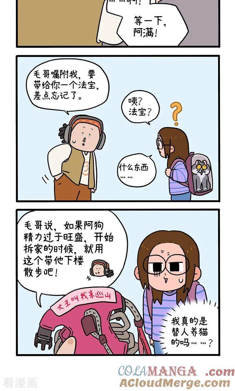 第89话1阿狗初来乍到-阿满和麦茶-新漫画 日胖大海寺（第4张）