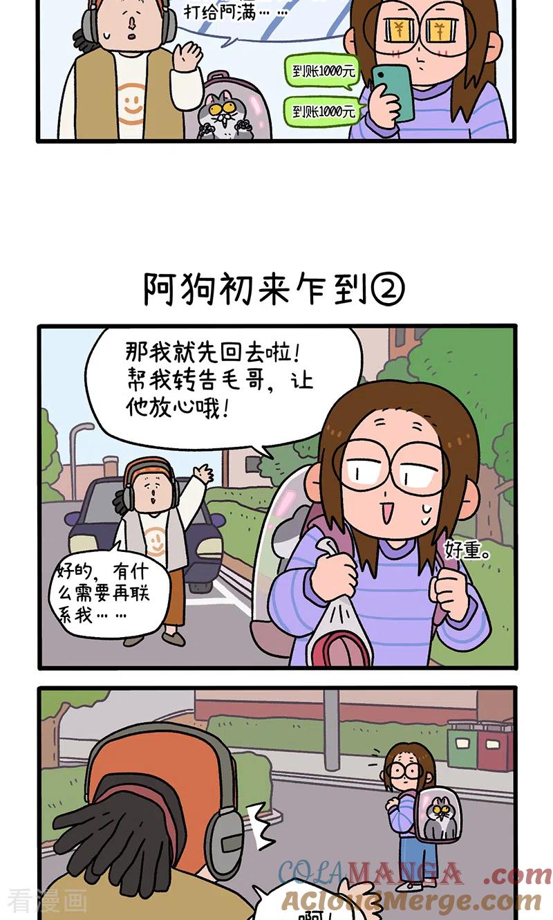 第89话1阿狗初来乍到-阿满和麦茶-新漫画 日胖大海寺（第3张）