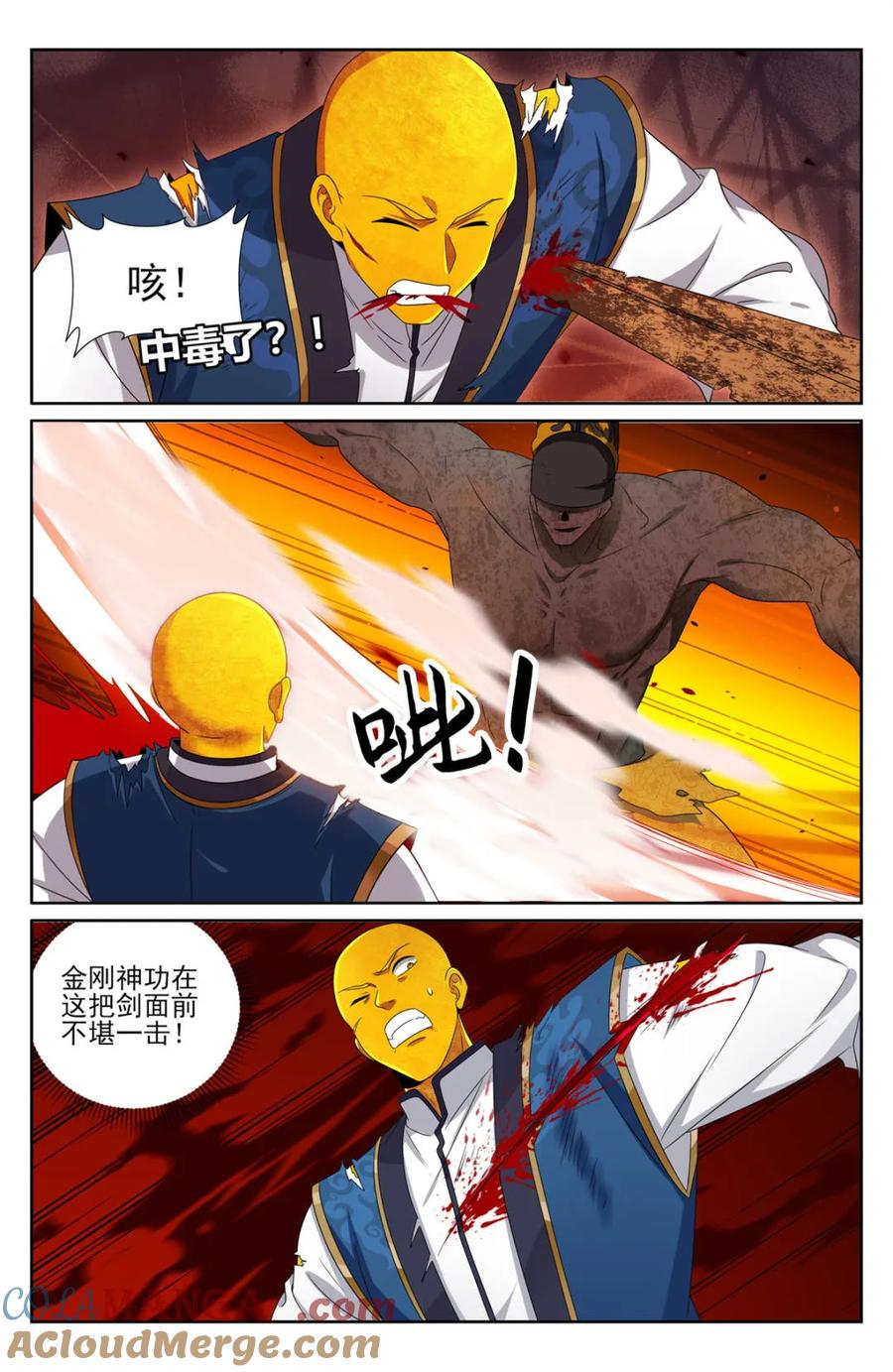 15.jpg