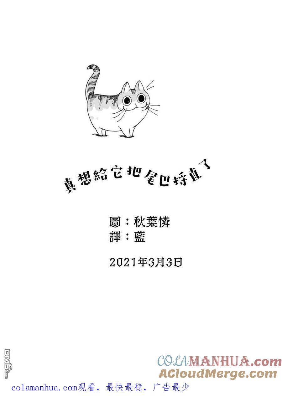 第47话-关于养猫我一直是新手-キュルZ（第3张）