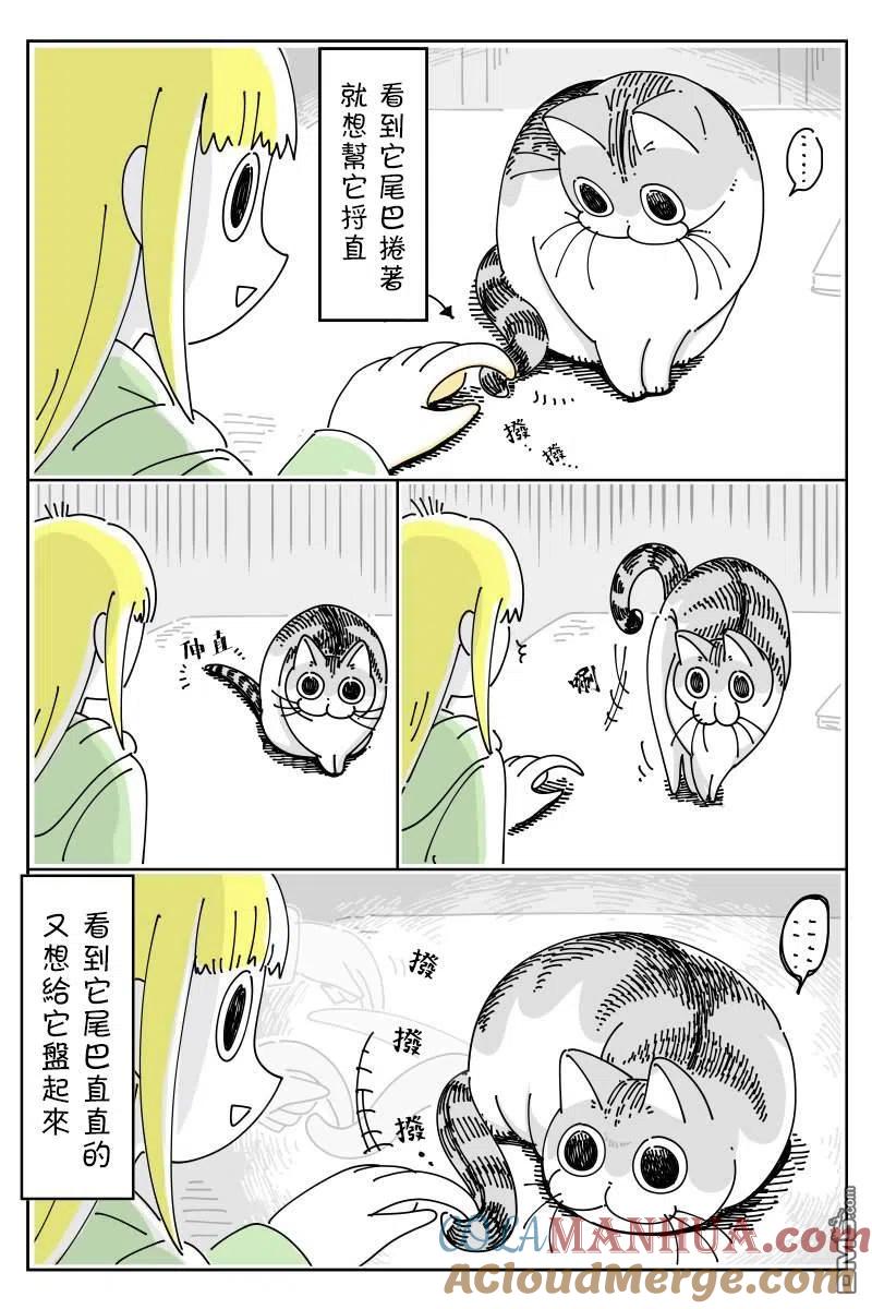 第47话-关于养猫我一直是新手-キュルZ（第2张）