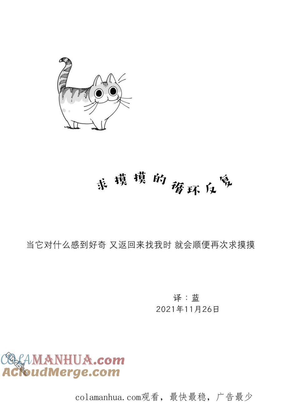 第92话-关于养猫我一直是新手-キュルZ（第3张）