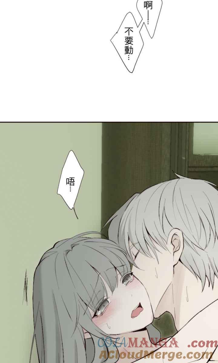 52.jpg