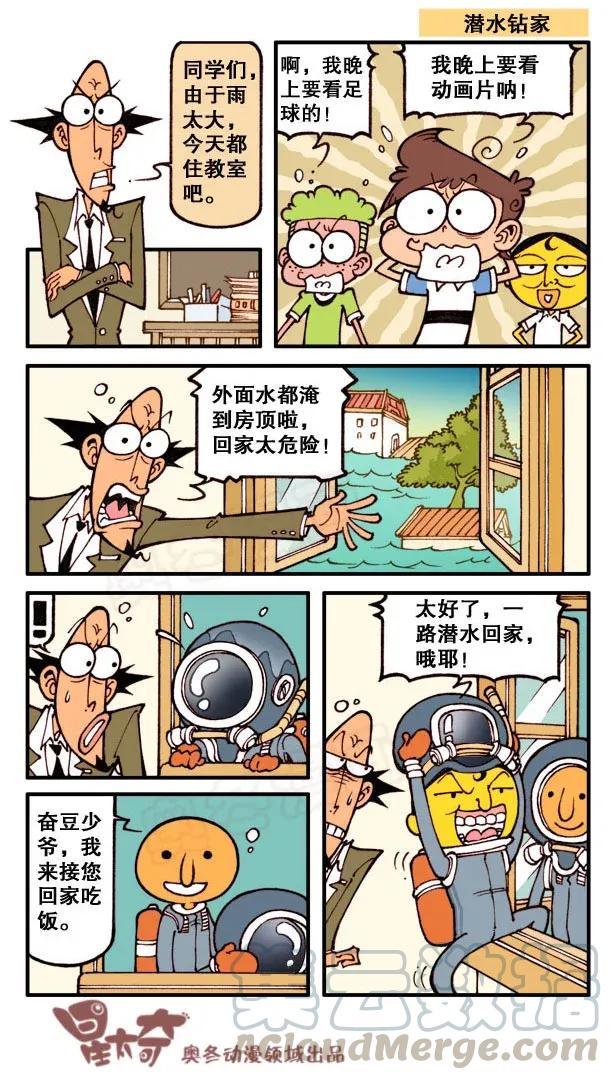 5.jpg