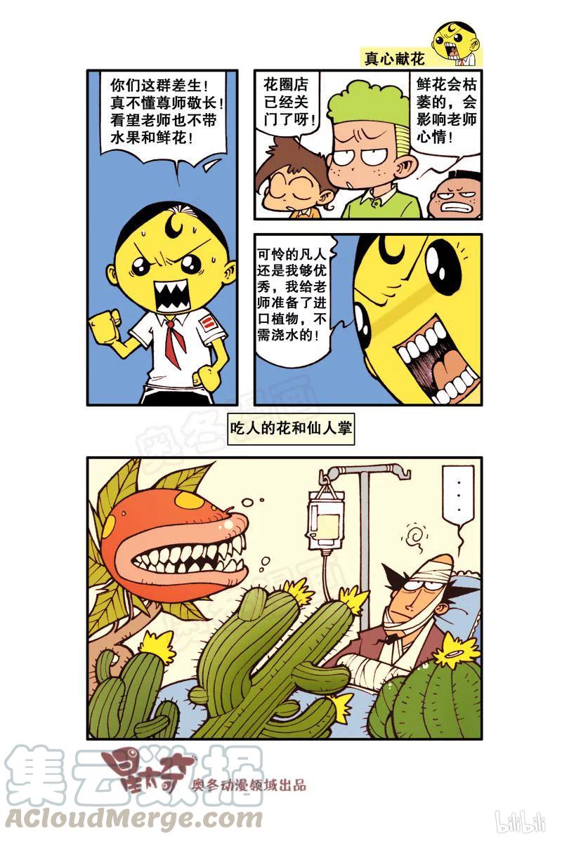 5.jpg