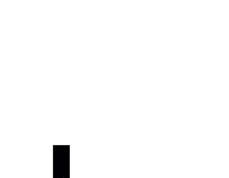 142.jpg
