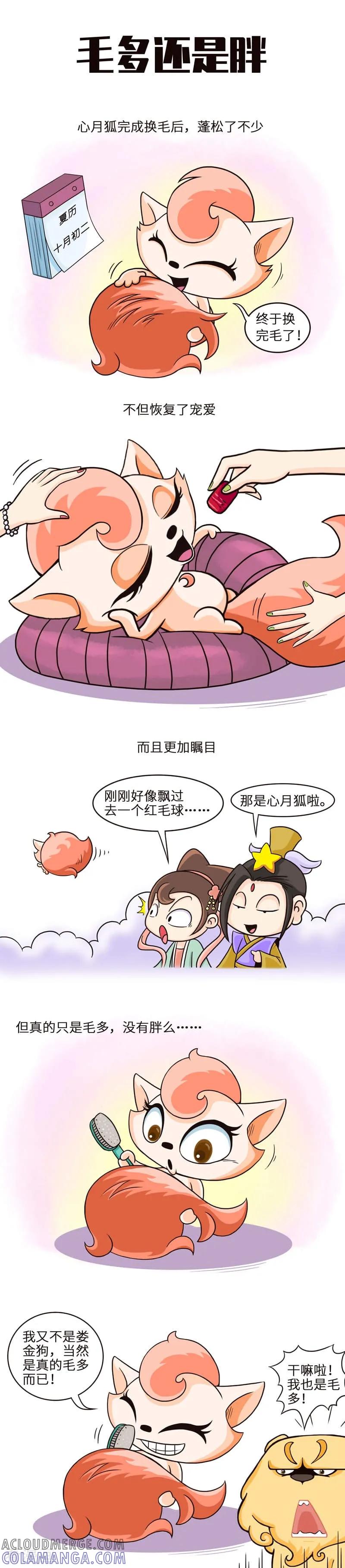 第25话毛发丰盈程度影响颜值-星宿谭-星宿谭工作室（第2张）