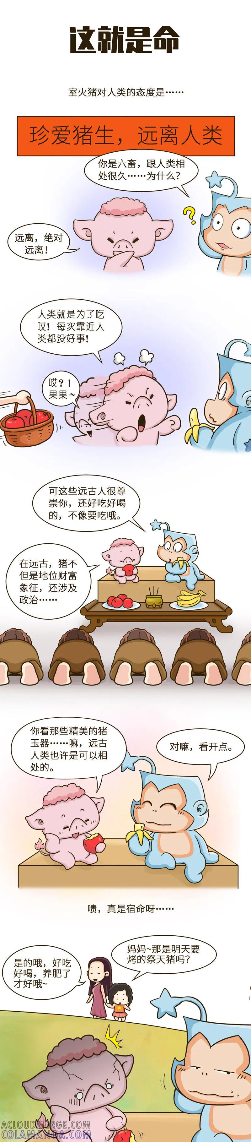 第38话为什么被炖的总是我！-星宿谭-星宿谭工作室（第2张）