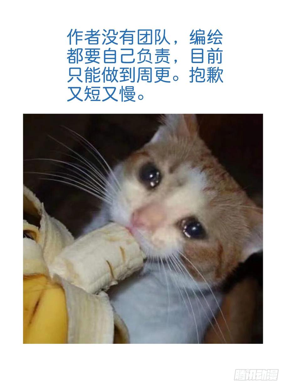 41.jpg