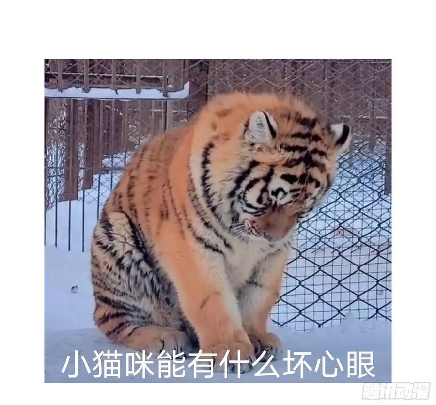 54.jpg