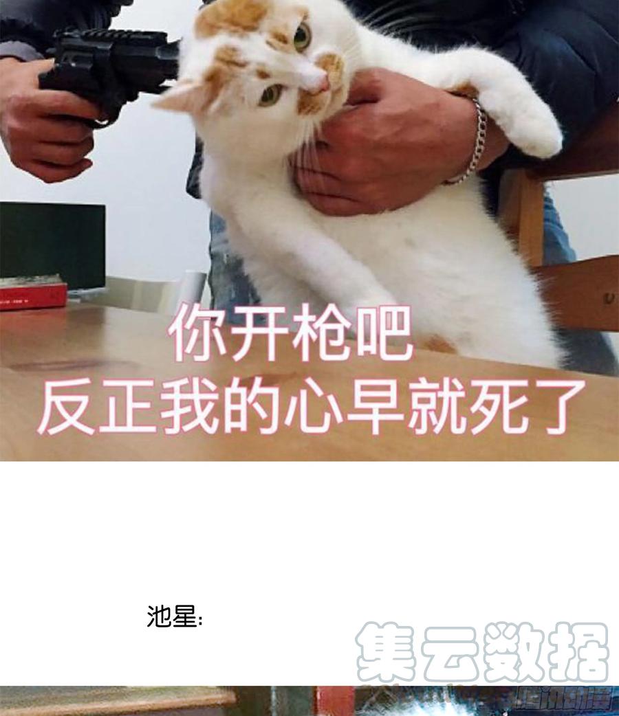 73.jpg