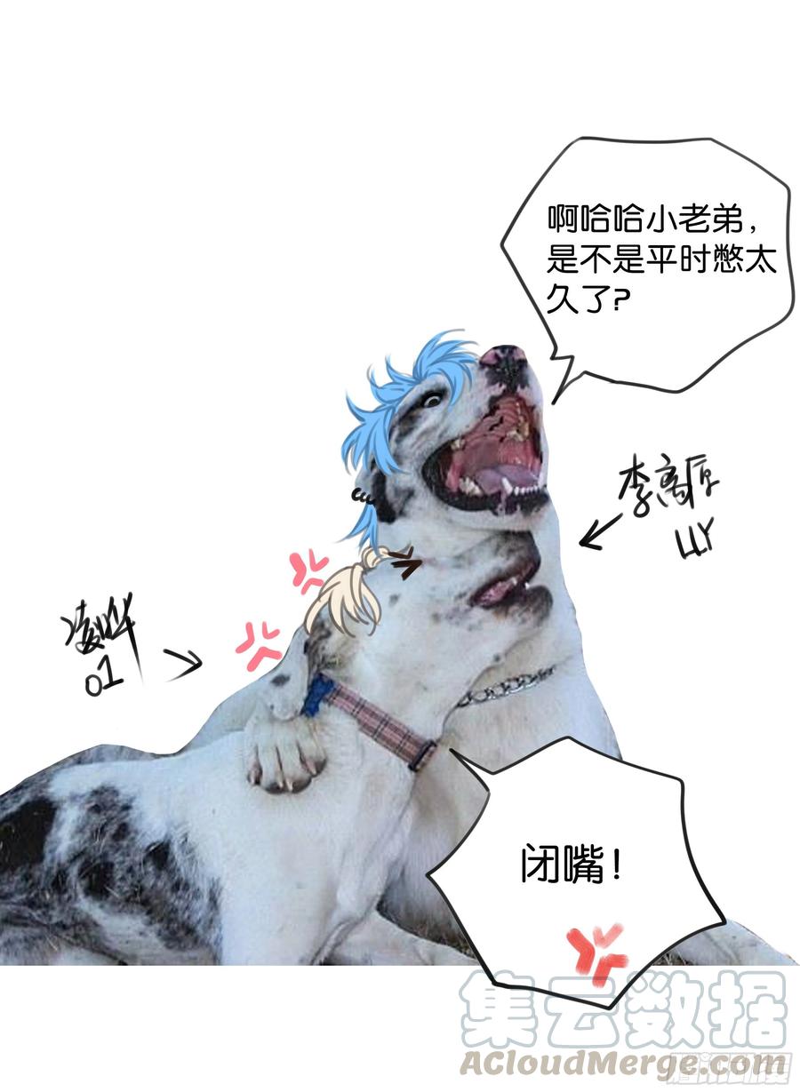 73.jpg