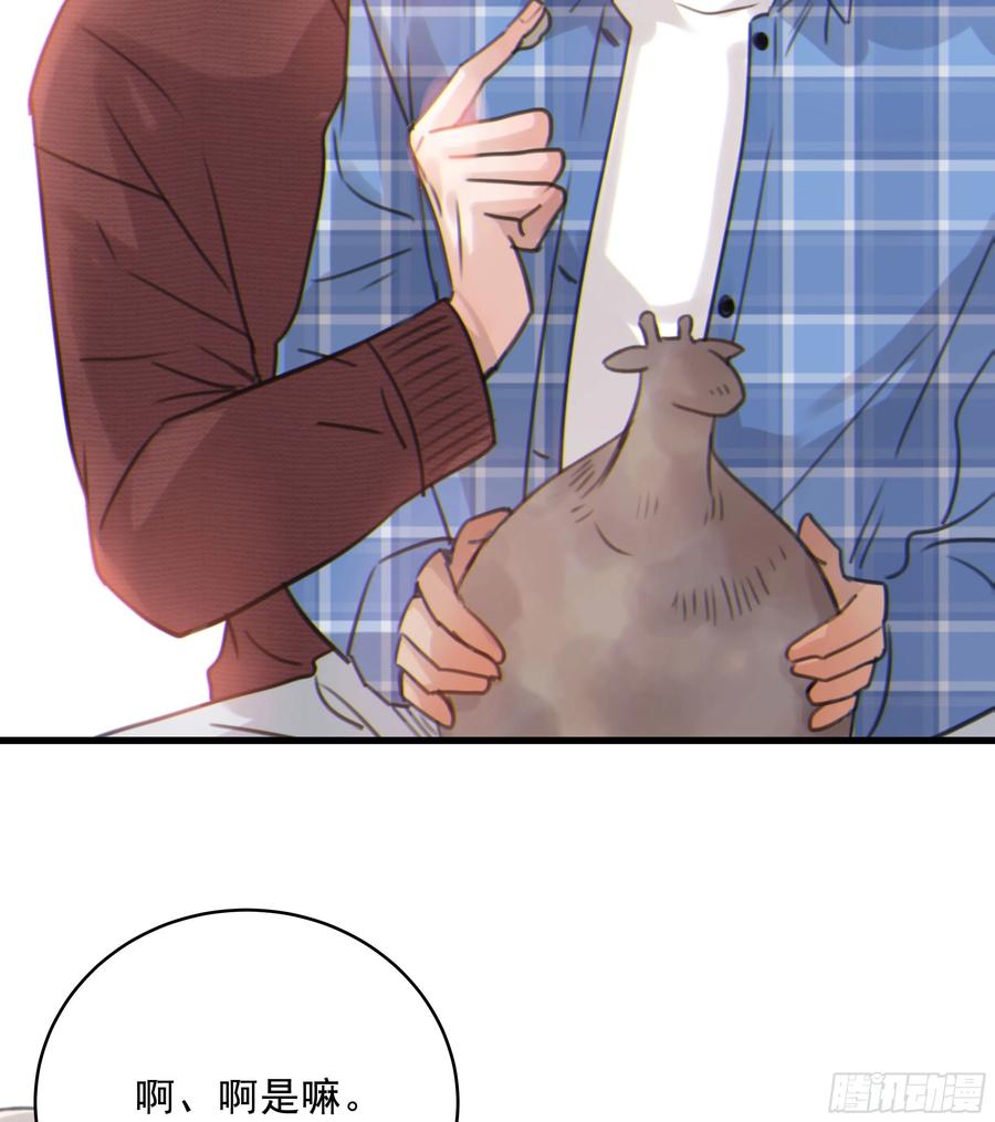41.jpg