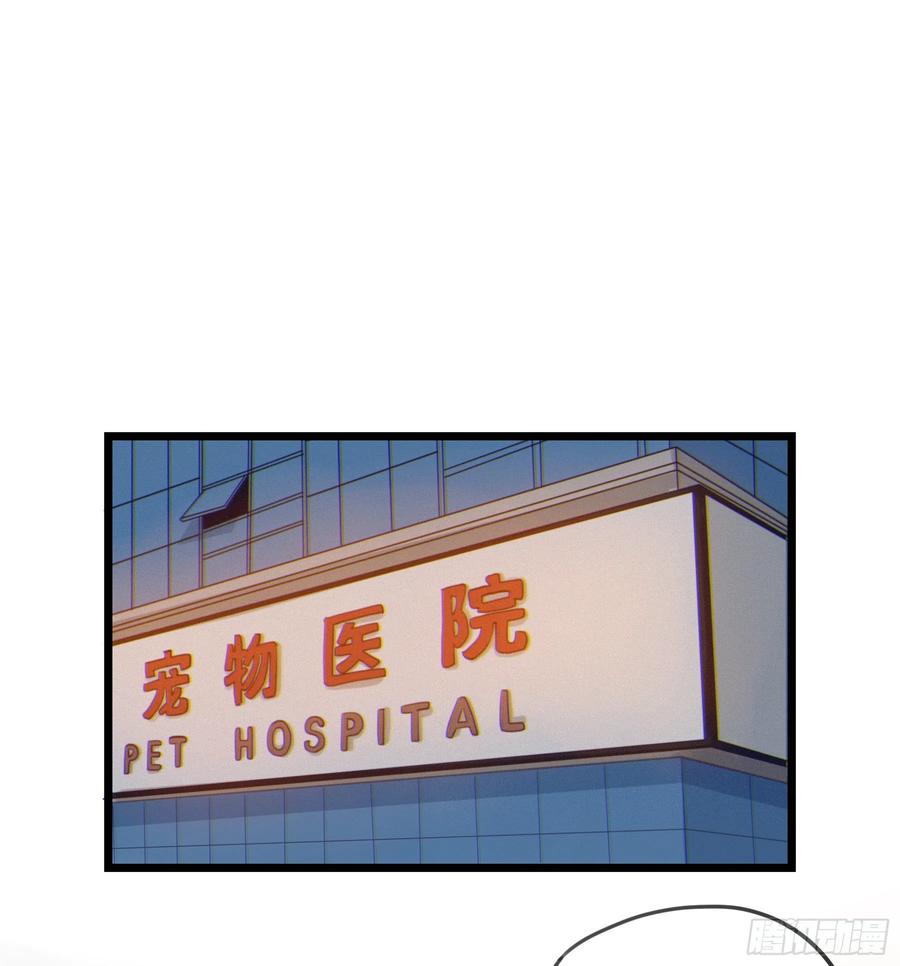 62.jpg