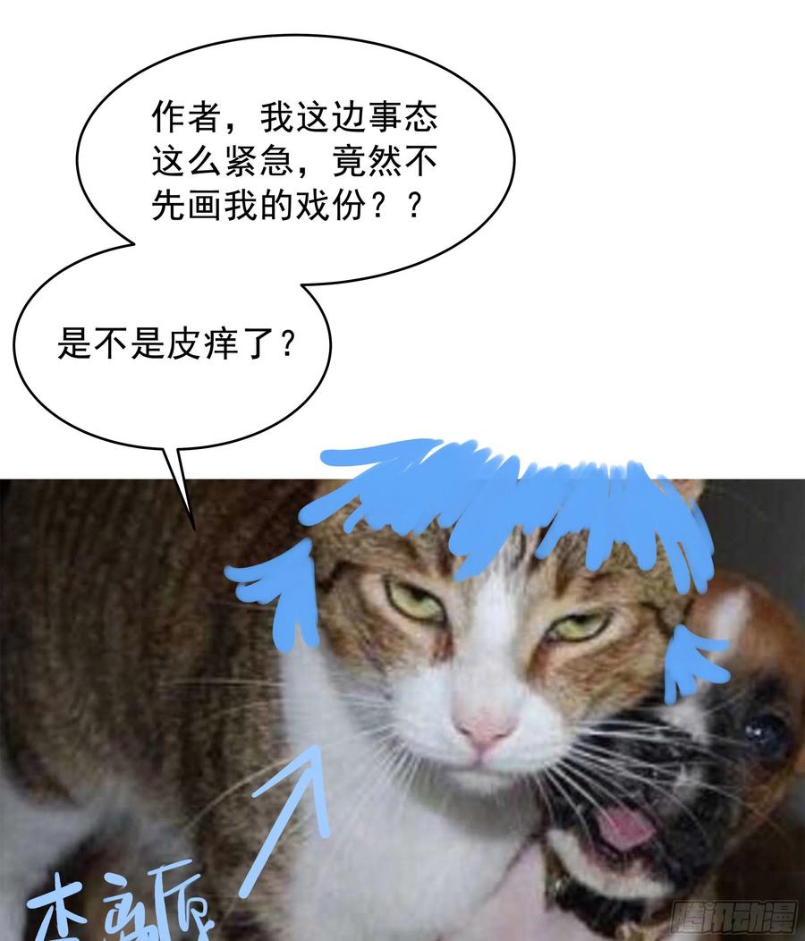 70.jpg