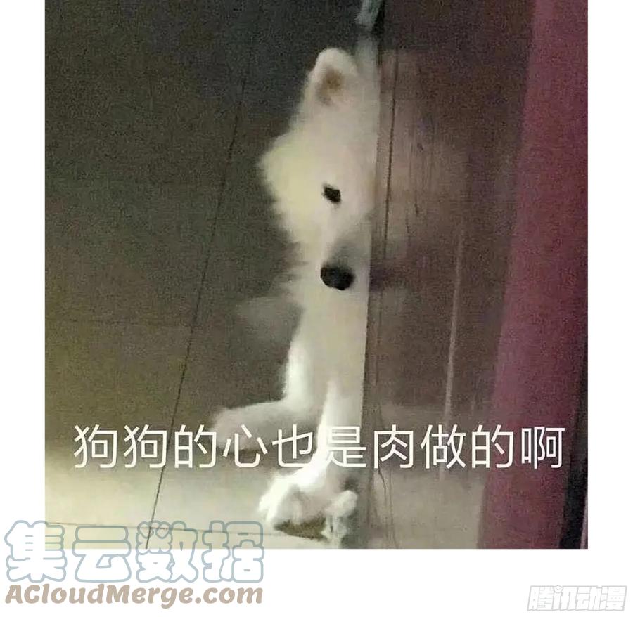 91.jpg