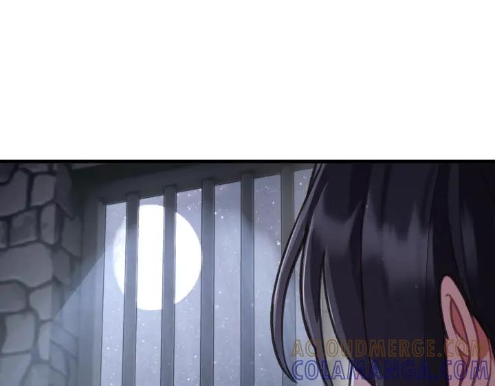 213.jpg