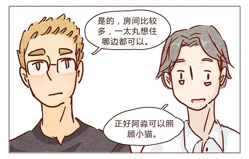 100话不怕水的喵了不起-喂，看见耳朵啦-特雷西胡,漫漫漫画（第4张）