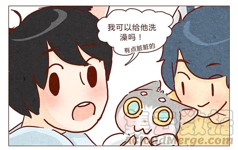 100话不怕水的喵了不起-喂，看见耳朵啦-特雷西胡,漫漫漫画（第5张）