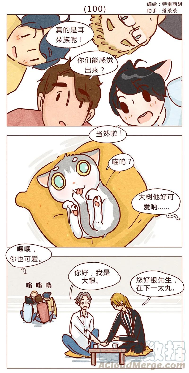 100话不怕水的喵了不起-喂，看见耳朵啦-特雷西胡,漫漫漫画（第1张）