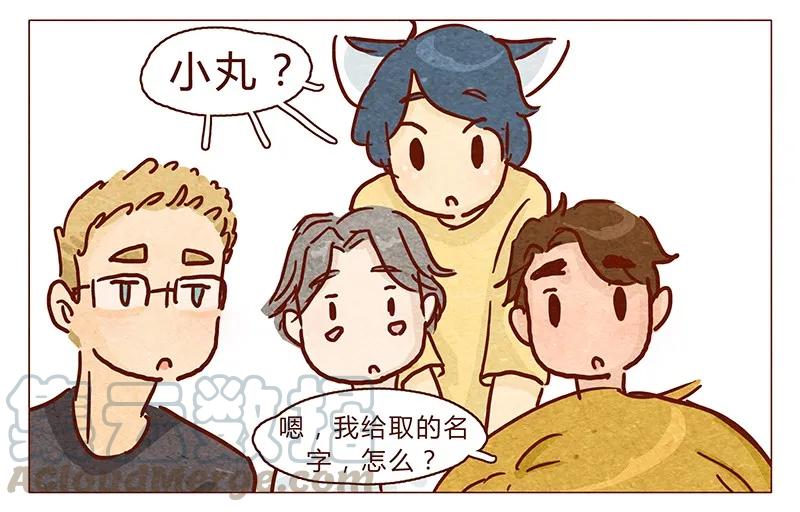 100话不怕水的喵了不起-喂，看见耳朵啦-特雷西胡,漫漫漫画（第9张）