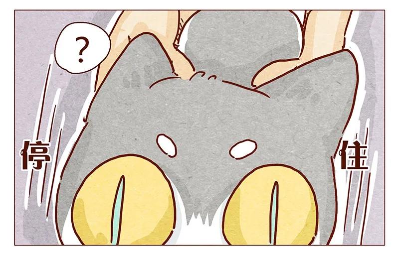 105话适合忍者的工作-喂，看见耳朵啦-特雷西胡,漫漫漫画（第6张）