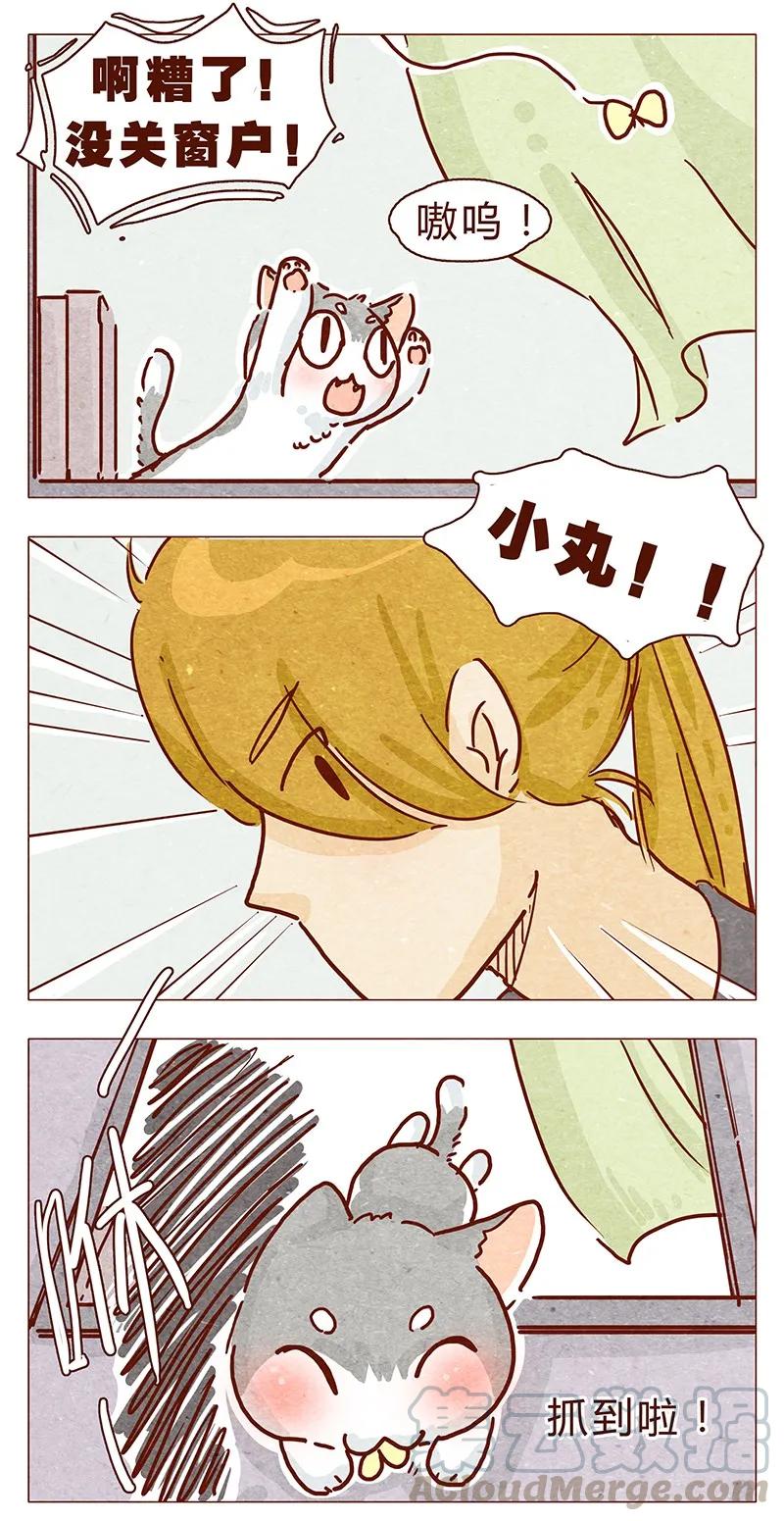 105话适合忍者的工作-喂，看见耳朵啦-特雷西胡,漫漫漫画（第5张）