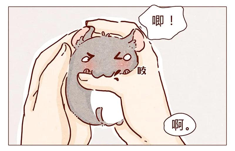 106话不疼不疼的～-喂，看见耳朵啦-特雷西胡,漫漫漫画（第2张）