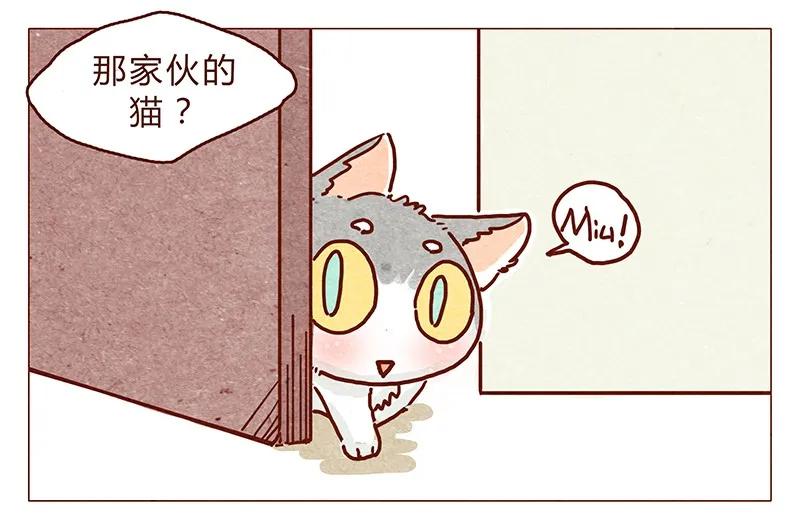 116话区区人类竟敢威胁喵！！-喂，看见耳朵啦-特雷西胡,漫漫漫画（第2张）