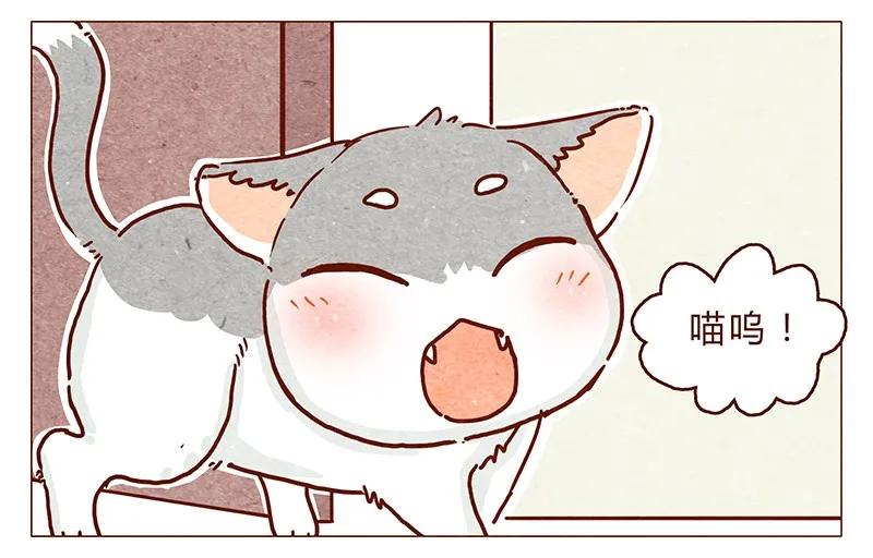 116话区区人类竟敢威胁喵！！-喂，看见耳朵啦-特雷西胡,漫漫漫画（第4张）