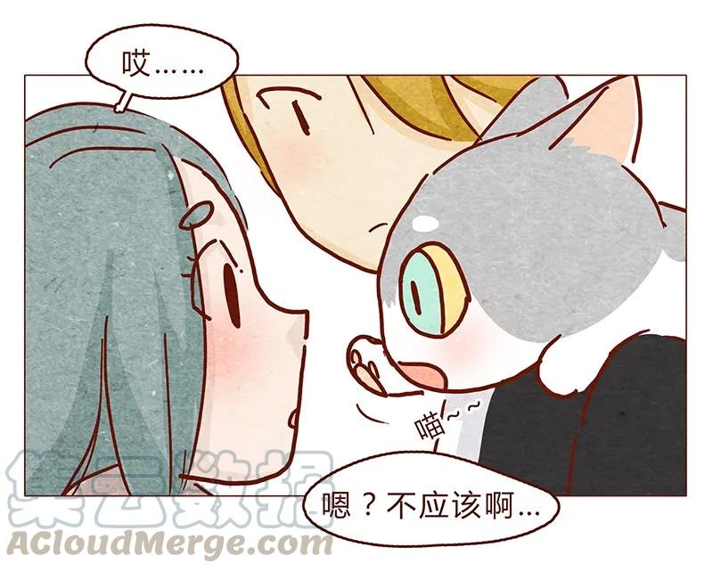 121话你究竟是什么人！！-喂，看见耳朵啦-特雷西胡,漫漫漫画（第5张）
