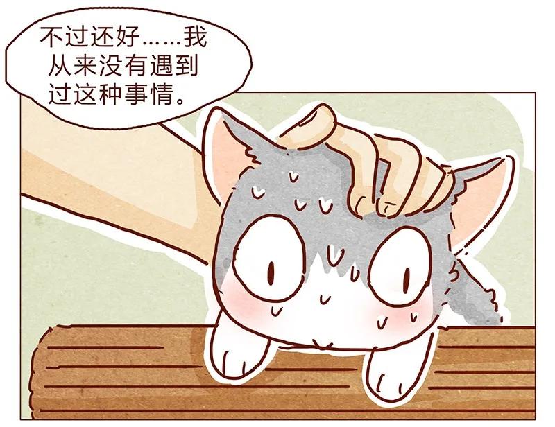 126话不要怀疑自己的喵生-喂，看见耳朵啦-特雷西胡,漫漫漫画（第11张）