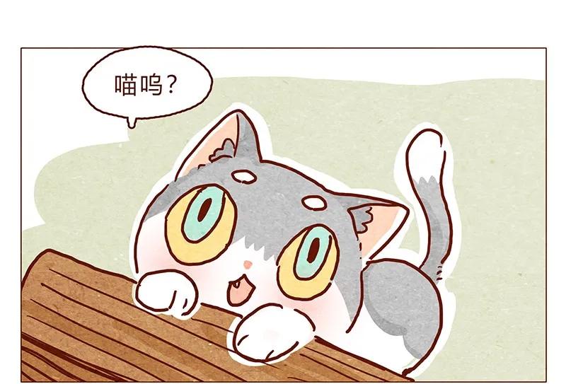 126话不要怀疑自己的喵生-喂，看见耳朵啦-特雷西胡,漫漫漫画（第4张）