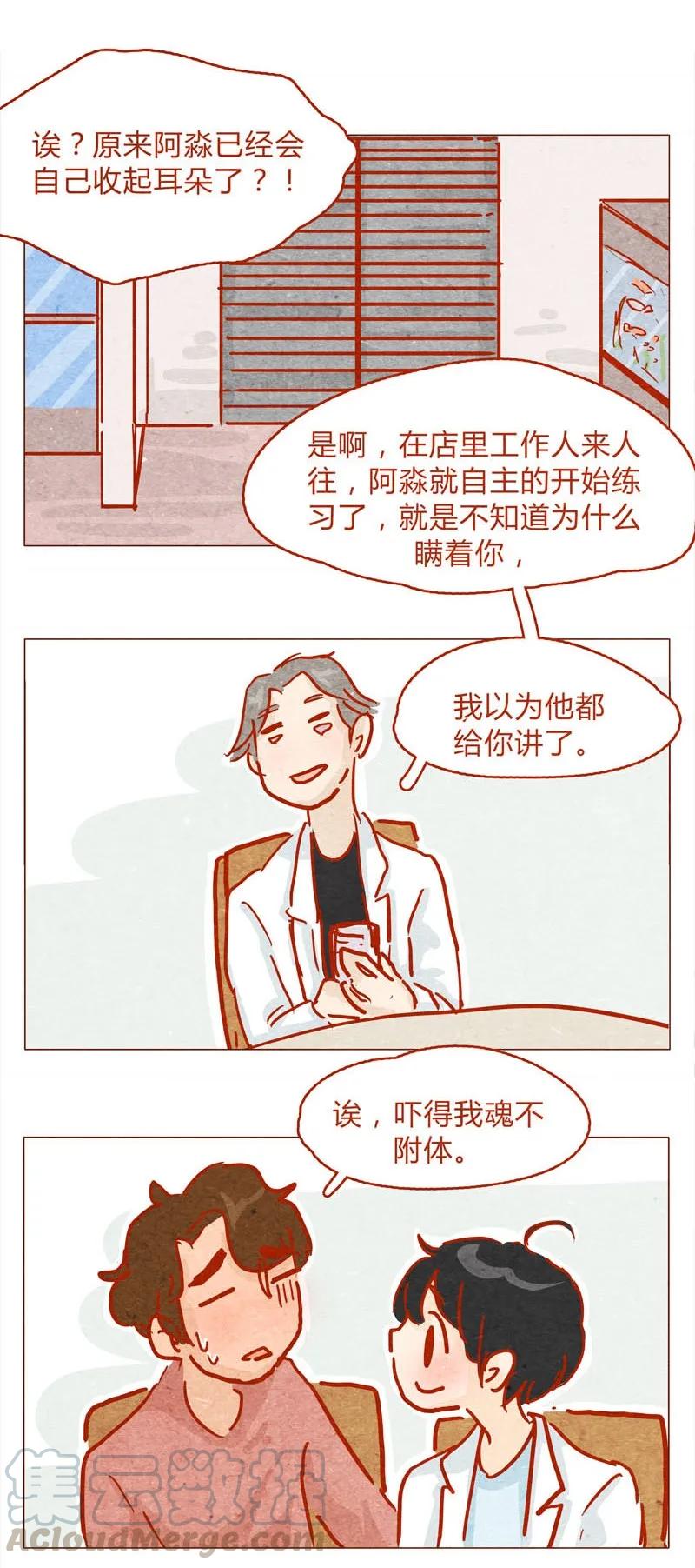 139话铁打的粉丝流水的网红～-喂，看见耳朵啦-特雷西胡,漫漫漫画（第17张）