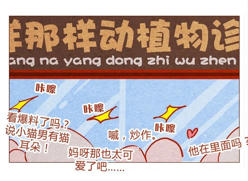 139话铁打的粉丝流水的网红～-喂，看见耳朵啦-特雷西胡,漫漫漫画（第7张）