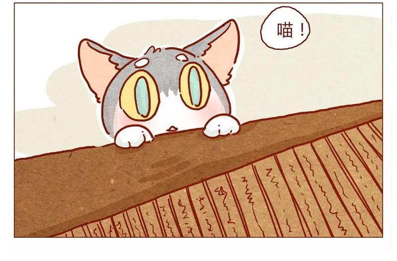 141话小丸的秘密-喂，看见耳朵啦-特雷西胡,漫漫漫画（第2张）